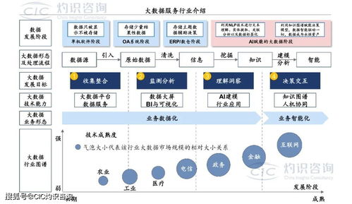 《中國商業(yè)大數(shù)據(jù)服務(wù)行業(yè)藍(lán)皮書》發(fā)布 洞見未來，數(shù)據(jù)賦能社會(huì)經(jīng)濟(jì)咨詢新篇章